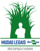 MUDAS LEGAIS BRS - CAPIM KURIMI E CAPIAÇU